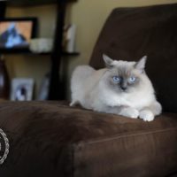 Rookie Rooks Not Sure 200x200