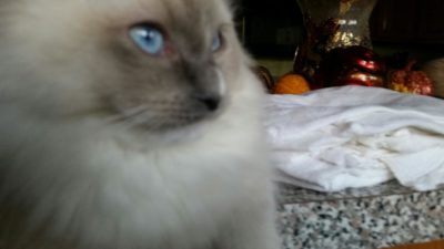 Thunder Light1 400x225