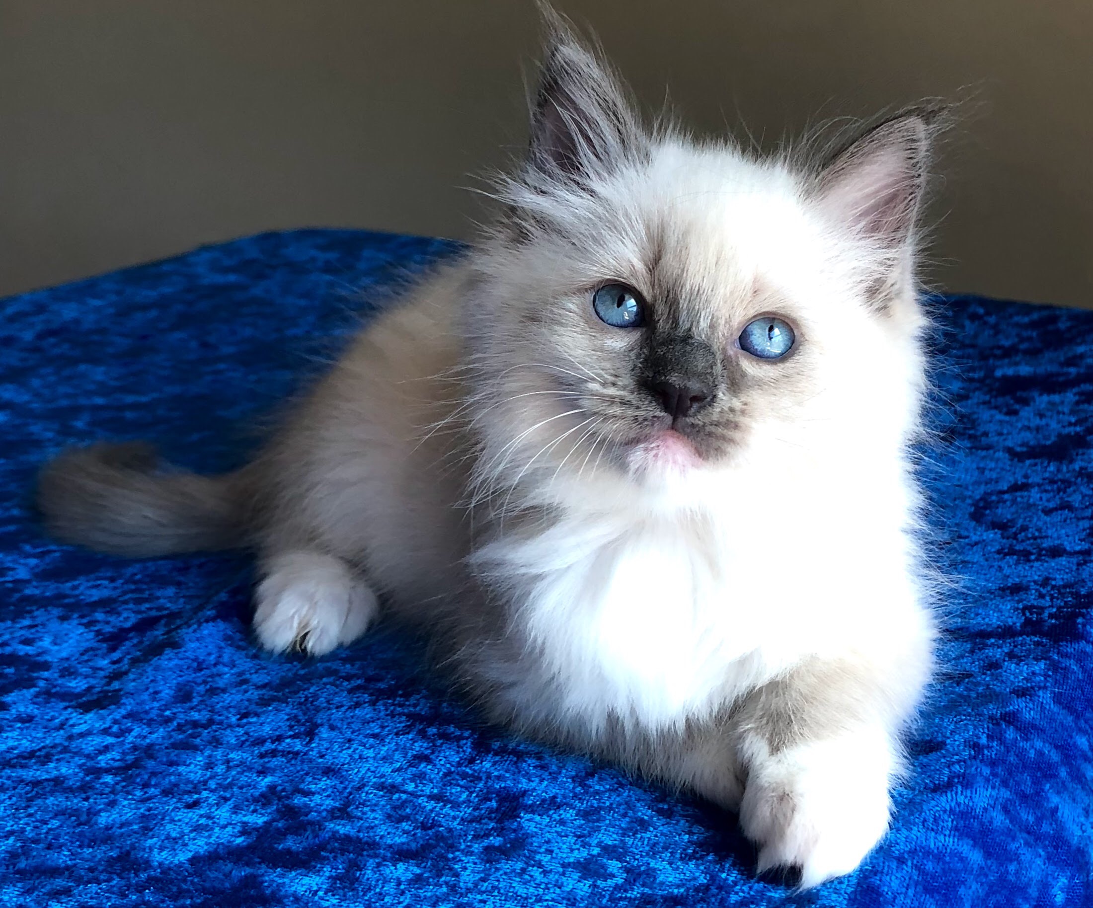 75FDFE28-46EA-4077-8B1C-FEC439F88D61