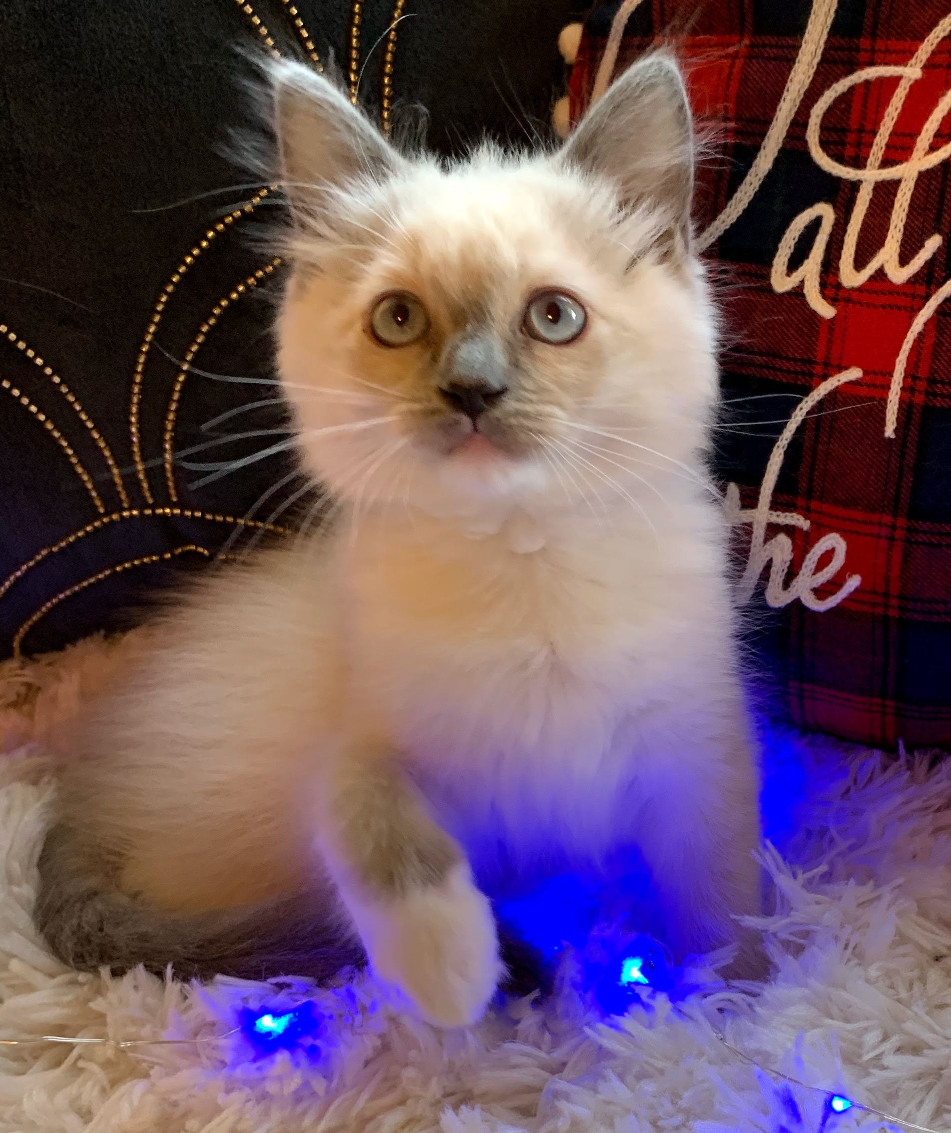 5066CF82-E512-4E46-B884-6AAC0AD763EE