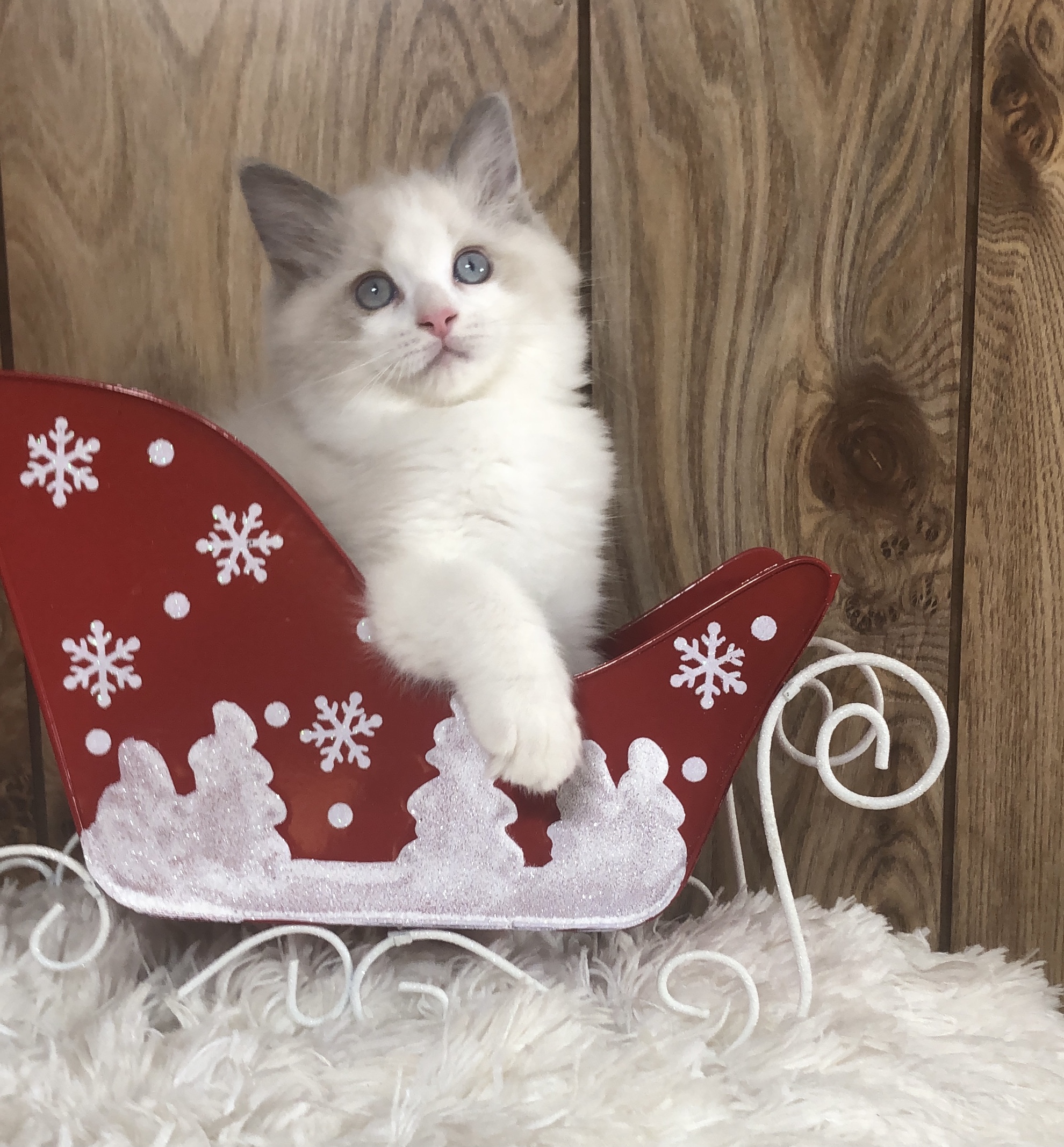 5C3945C6-DD42-4C66-A4A4-DFD9C4544713