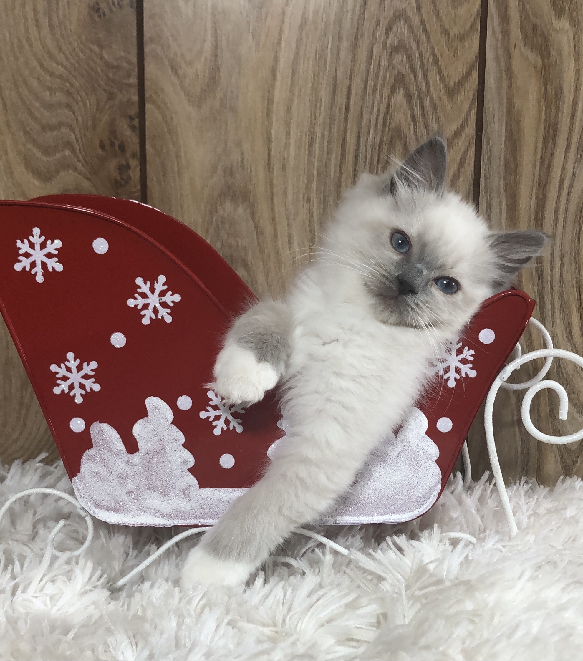 CB76B32B-2AA8-44E3-8336-7792ABAB9019